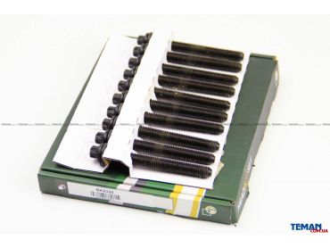BG Automotive - BK6328 Комплект болтів з головкою системи TORX з чорного металу
